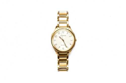 A Citizen Eco Drive watch in gold plated stainless steel