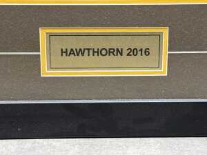 Framed Hawthorn AFL 2016 signed singlet - 4