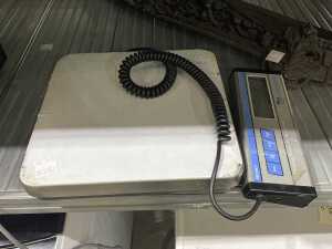 Nuweigh CHR286 platform scale