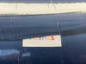 Playpals mat - 2