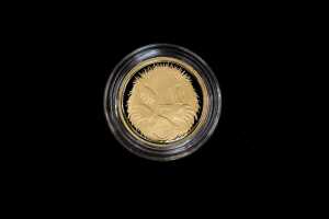 Australian 2013 5 cent gold proof coin, 6.03g