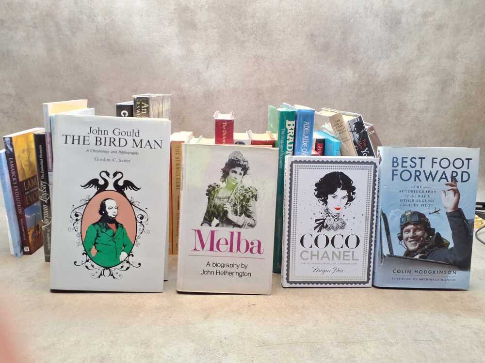 Group of books