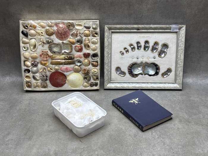 Collection of pearl and shell specimens with a Japanese insect identification book