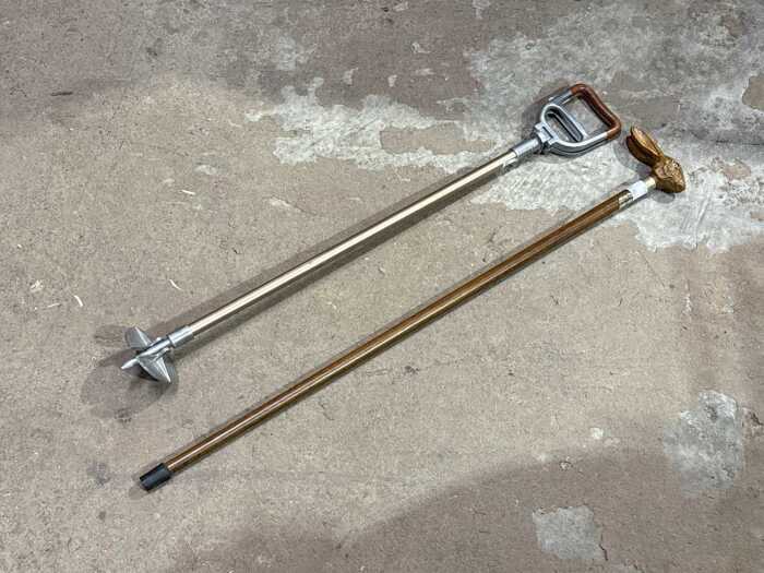 Two walking sticks