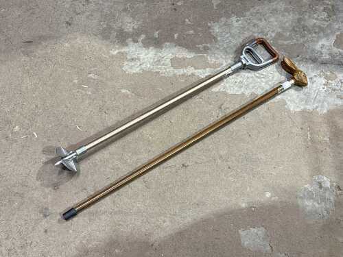 Two walking sticks