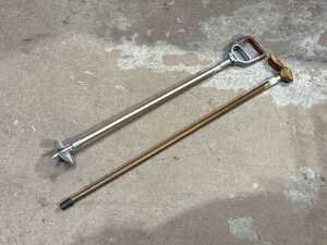Two walking sticks