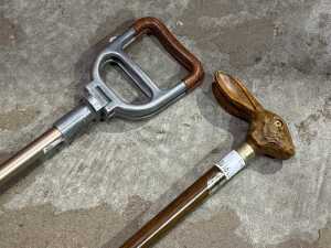 Two walking sticks - 2
