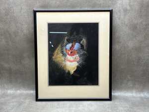 P. Hodson (unknown artist), (Mandrill), chalk pastel drawing on paper