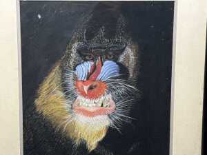P. Hodson (unknown artist), (Mandrill), chalk pastel drawing on paper - 2