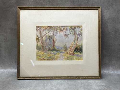 H.J. Brown (artist unknown), (Eucalypts), watercolour painting on paper