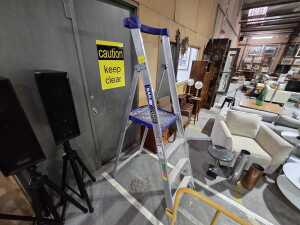 Bailey P150 platform step ladder