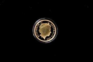 Little Dinkums Kato Cockatoo 2010 $5 gold proof coin, 0.04oz 99.99% pure gold - 2