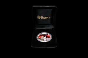 International Year of Astronomy 2009 $1 silver proof coin, 31.14g 99.9% pure silver - 3