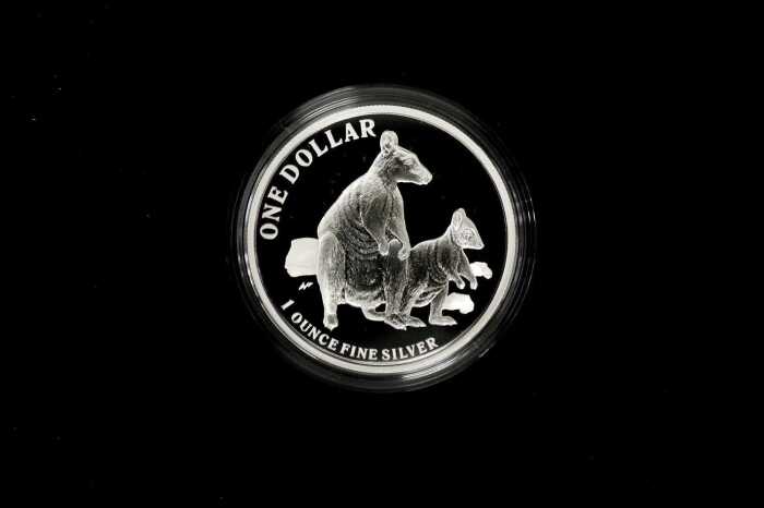 Kangaroo Series 2011 $1 silver proof coin, 1oz 99.9% pure silver