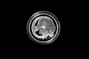 Decimal Designs in Perspective WMF Berlin 2017 1c silver proof coin, 1oz 99.9% pure silver