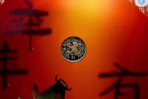 Three Lunar Year Gold and Silver Coin Set - 4