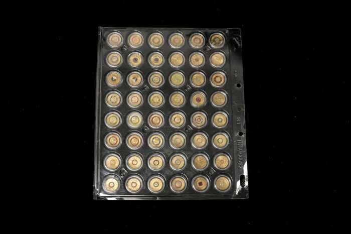 A card of 48 mostly coloured $2 coins