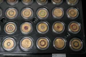 A card of 48 mostly coloured $2 coins - 5