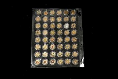A card of 48 mostly coloured $2 coins