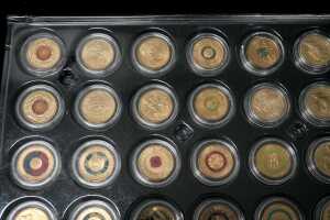A card of 48 mostly coloured $2 coins - 2