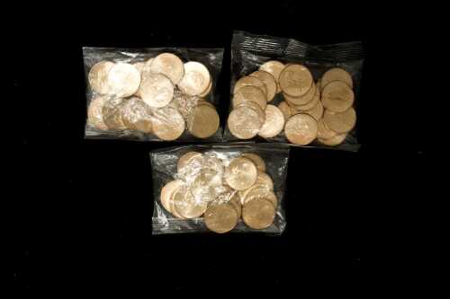 Sixty 2024 Bluey "Buck" $1 coins