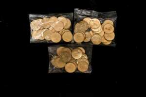 Sixty 2024 Bluey "Buck" $1 coins - 2