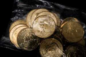 Sixty 2024 Bluey "Buck" $1 coins - 4
