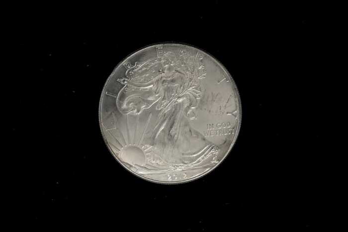 USA Silver Dollar coin, 1oz