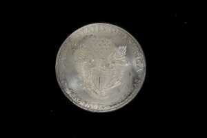 USA Silver Dollar coin, 1oz - 2