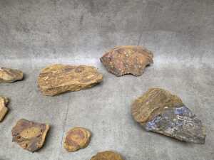 A parcel of rough Boulder Opal rocks, 4 kg+ - 6