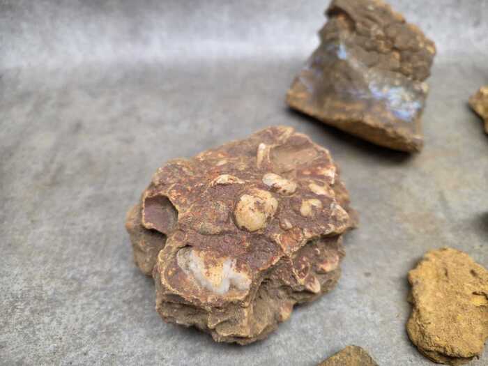 A parcel of rough Boulder Opal rocks, 4 kg+