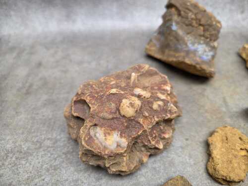 A parcel of rough Boulder Opal rocks, 4 kg+
