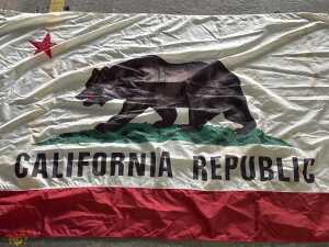 California Republic bear flag - 2