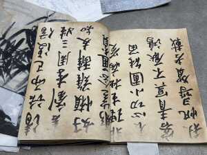Seven unmounted Chinese calligraphy - 2