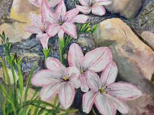 R. Dodd, still life of lilies. Oil painting on board - 2