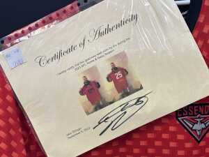 Two Jake Stringer game worn and signed guernseys - 5