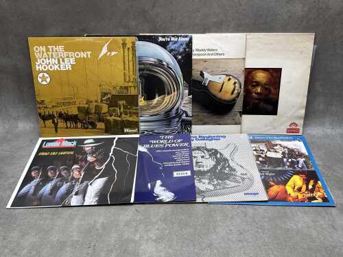 Eight Blues vinyl records, including John Lee Hooker