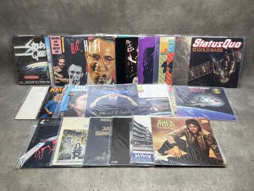 25 vinyl records, mostly Rock and Pop
