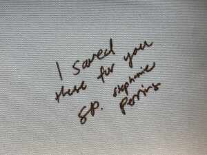 Stephanie Perring, I Saved These For You - 3