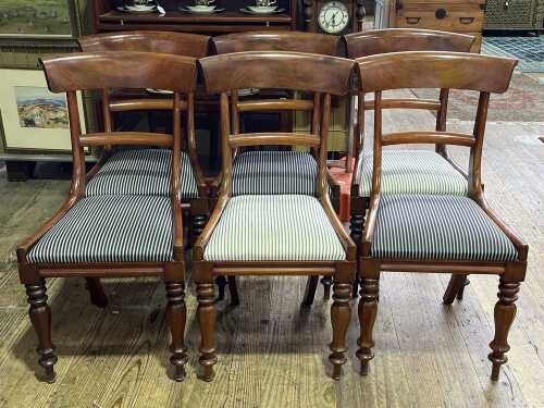 Set of six Colonial Australian cedar spade-back dining chairs