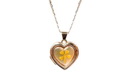 A resin heart locket on necklace in 9 carat yellow gold