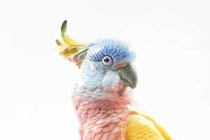 Beswick 'Cockatoo' porcelain bird figure - 2