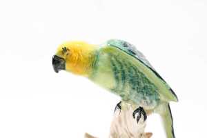Beswick 'Parakeet' porcelain bird figure - 2