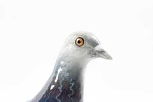 Beswick 'Pigeon' porcelain bird figure - 3
