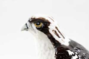 Royal Doulton for Whyte & Mackay 'Osprey' porcelain bird figure - 3