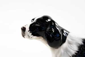 Royal Doulton 'Springer Spaniel' porcelain dog figure - 3