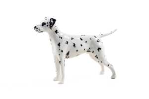 Beswick 'Dalmatian Arnoldene' porcelain dog figure