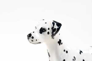 Beswick 'Dalmatian Arnoldene' porcelain dog figure - 3
