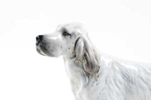 Beswick 'English Setter Baydon Baronet' porcelain dog figure - 3