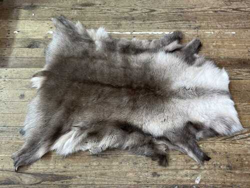 Norwegian reindeer pelt